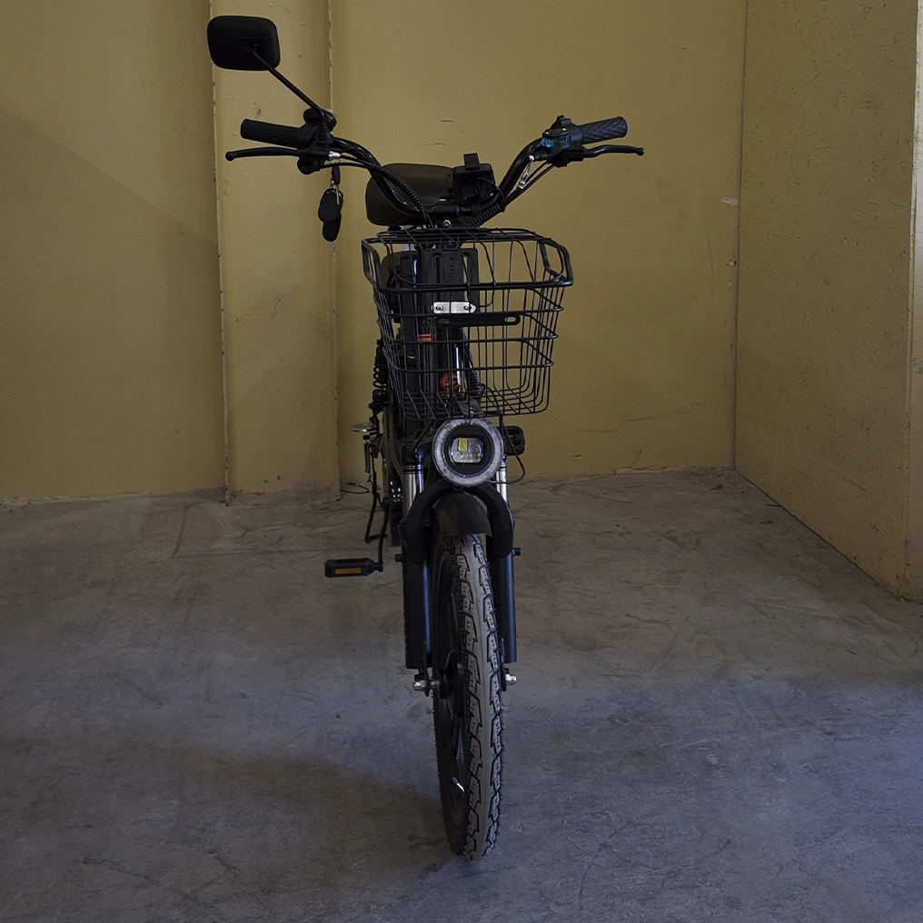 Электровелосипед ГудбайК Yilan, 500W, 60V21A