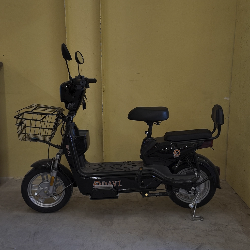 Электровелосипед DAVI 14", 500W, 48V12Ah