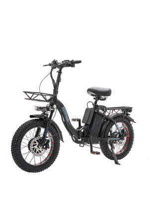 Электровелосипед Minako F11 Dual, 1000Wх2