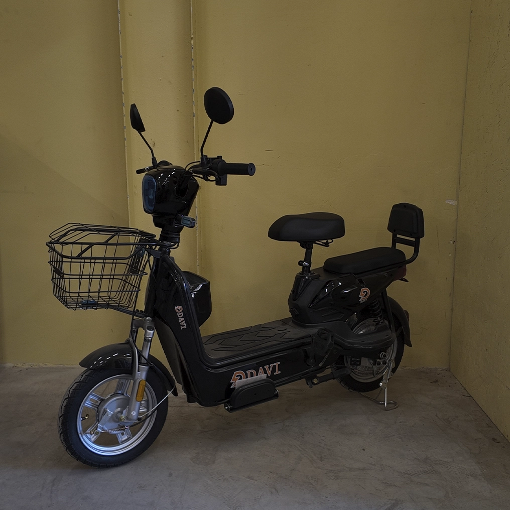 Электровелосипед DAVI 14", 500W, 48V12Ah