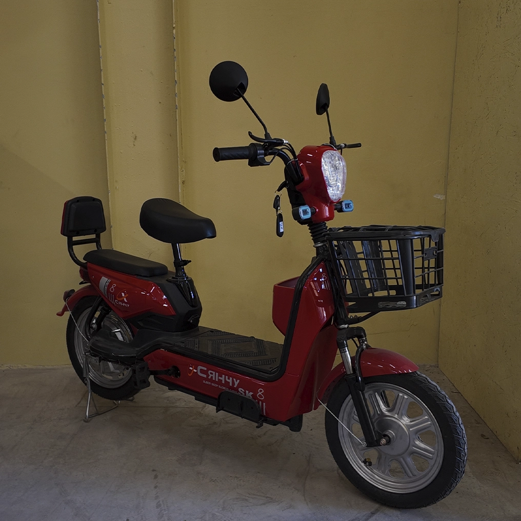 Электровелосипед SK8 16", 800W, 48V12Ah