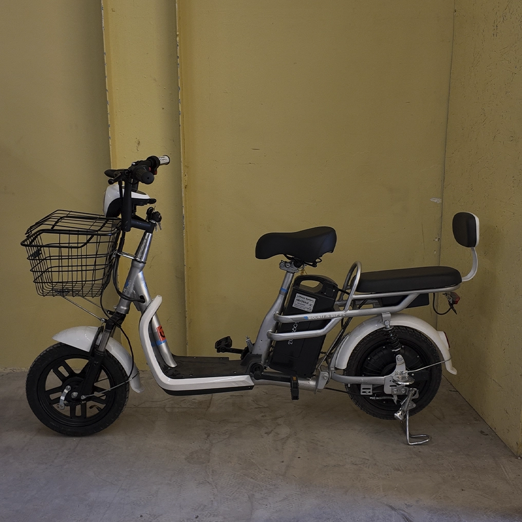 Электровелосипед ГудбайК Happy, 350W, 48V20A